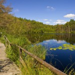 Müritz-Ribnitzer Hochmoor